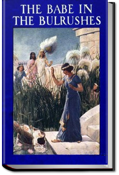 The Babe in the Bulrushes | Amy Steedman